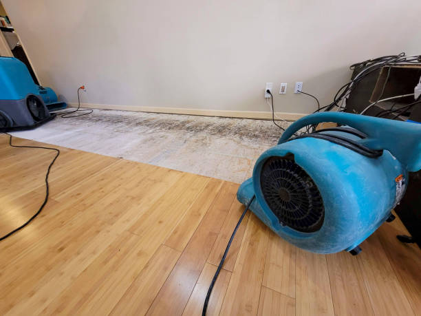 Professional Sewage Cleanup technician working in Westport, TN